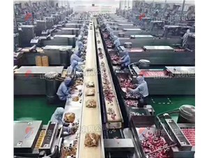 選擇真空包裝機(jī)要關(guān)注哪幾點(diǎn)？